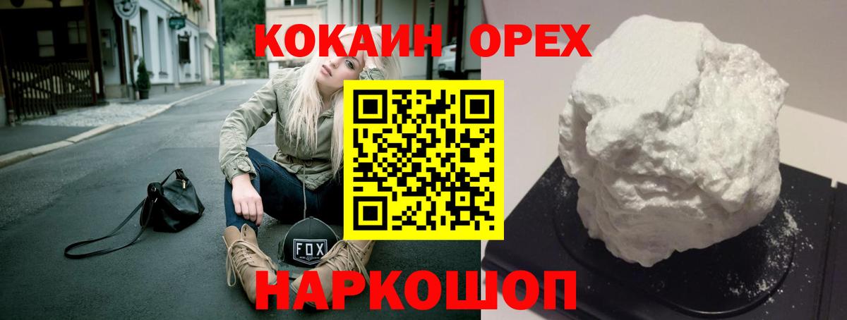 Галлюциногенные грибы Новозыбков
