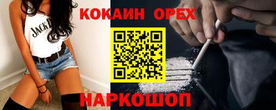 индика Сланцы