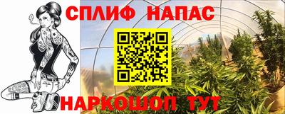 молекула духа Славгород