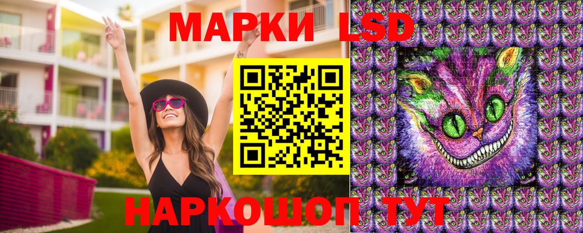 Наркотические марки  Марки NBOMe 1,5мг  цены   Новозыбков  Вход с VPN 