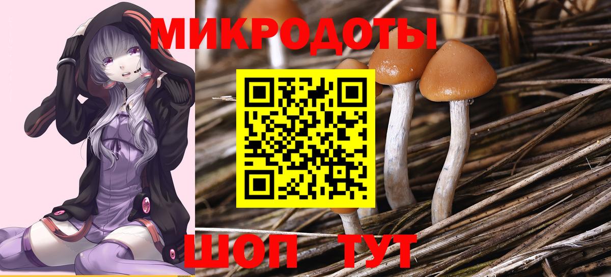 Меф   Новозыбков  МЕТАМФЕТАМИН  COCAIN  Вход с VPN  ГАШ  ГАШИШ 
